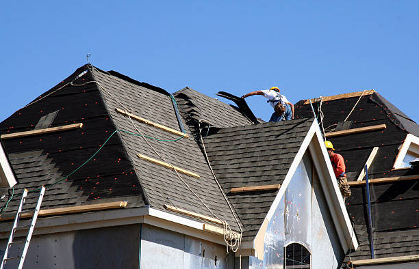 Best Metal Roofing Contractor  in Carthage, NC